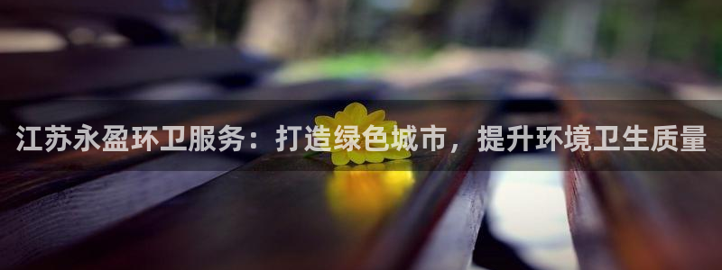 WG电子体育f开户：江苏永盈环卫服务：打造绿色城市，提升环境卫生质量