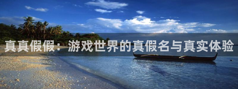 WG电子2平台登录：真真假假：游戏世界的真假名与真实体验